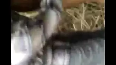 Randi caught by Police